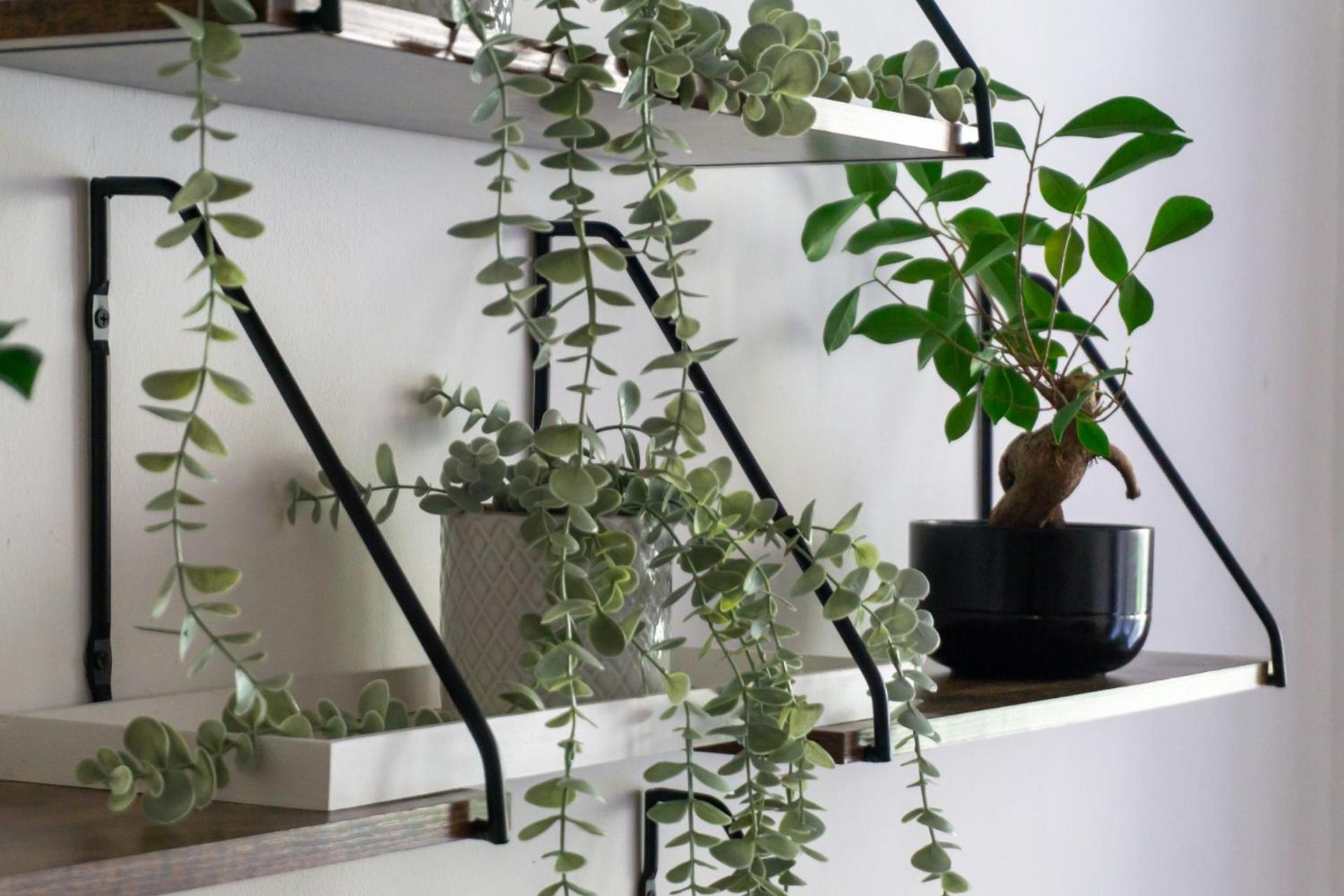 Appartamento With Garden Close To Stadthalle, Westbahnhof Vienna